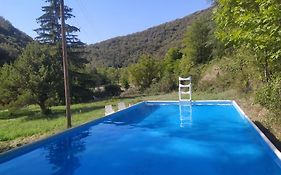La Grenouille Bed And Breakfast