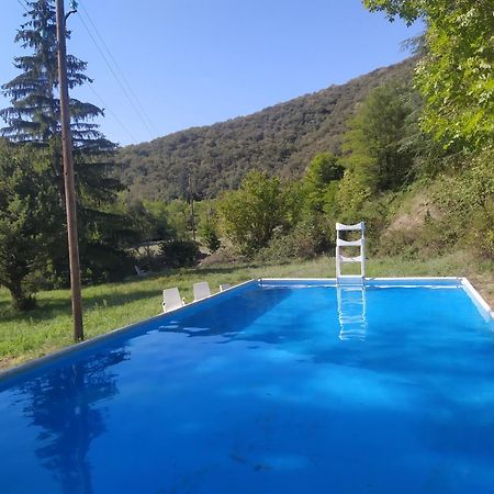 La Grenouille Bed and Breakfast Valleraugue Buitenkant foto