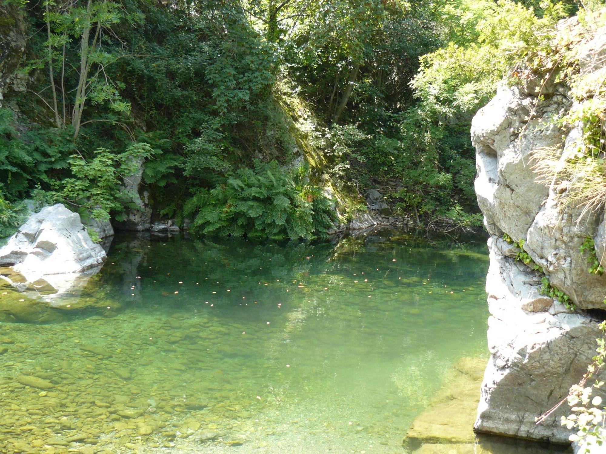 La Grenouille Bed and Breakfast Valleraugue Buitenkant foto