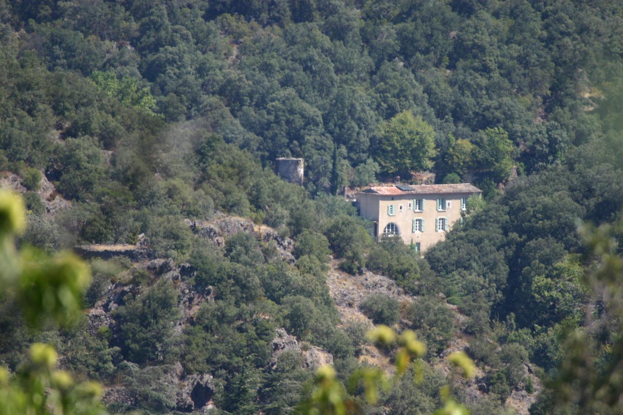 La Grenouille Bed and Breakfast Valleraugue Buitenkant foto