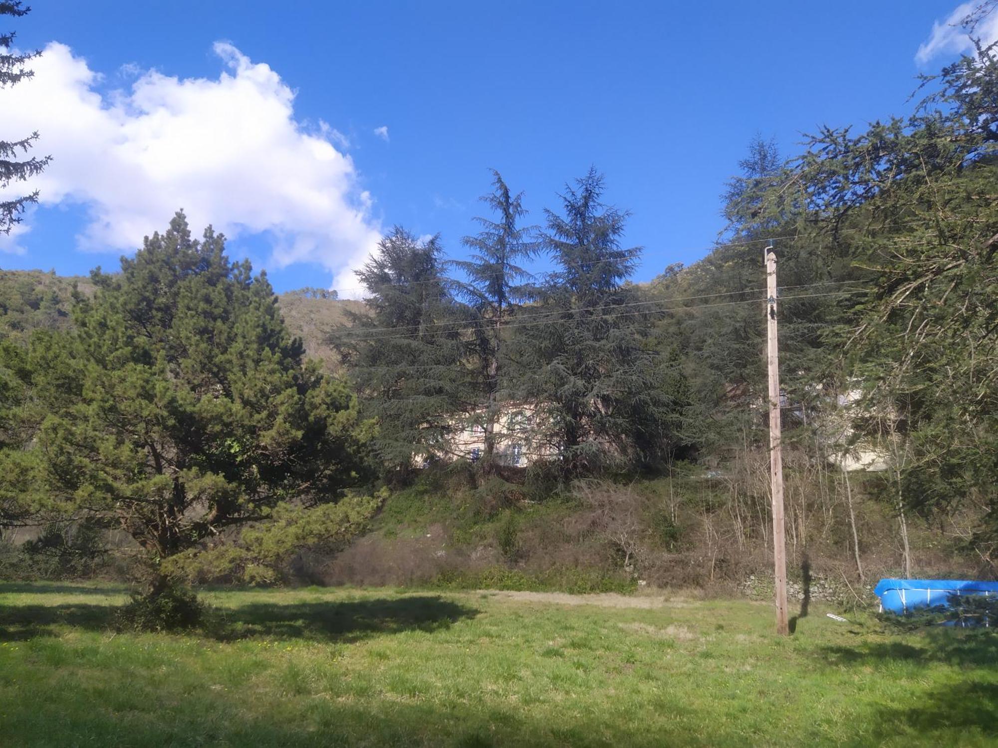 La Grenouille Bed and Breakfast Valleraugue Buitenkant foto